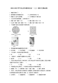 2022-2023学年北京市通州区高一（上）期中生物试卷（含答案解析）