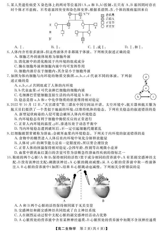 贵州省黔东南六校联盟2022-2023学年高二生物上学期期中联考试卷(PDF版附答案)第2页