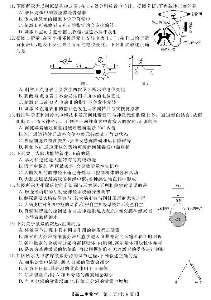 贵州省黔东南六校联盟2022-2023学年高二生物上学期期中联考试卷(PDF版附答案)第3页