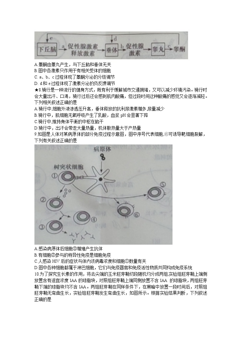 湖南省长沙市长郡中学2022-2023学年高二生物上学期期中考试试卷（Word版附答案）03