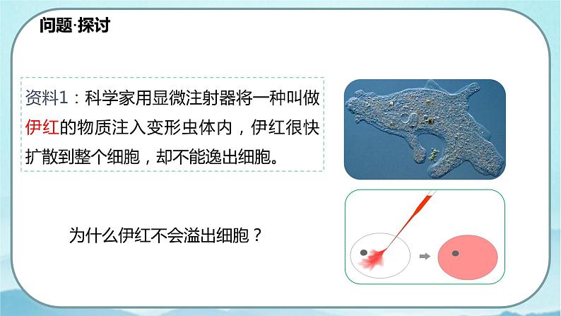 3.1 细胞膜的结构和功能(课件)第3页
