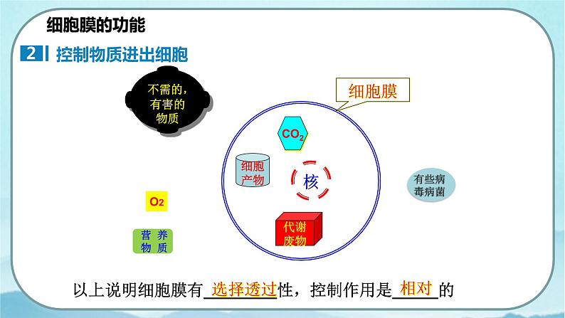 3.1 细胞膜的结构和功能(课件)第7页