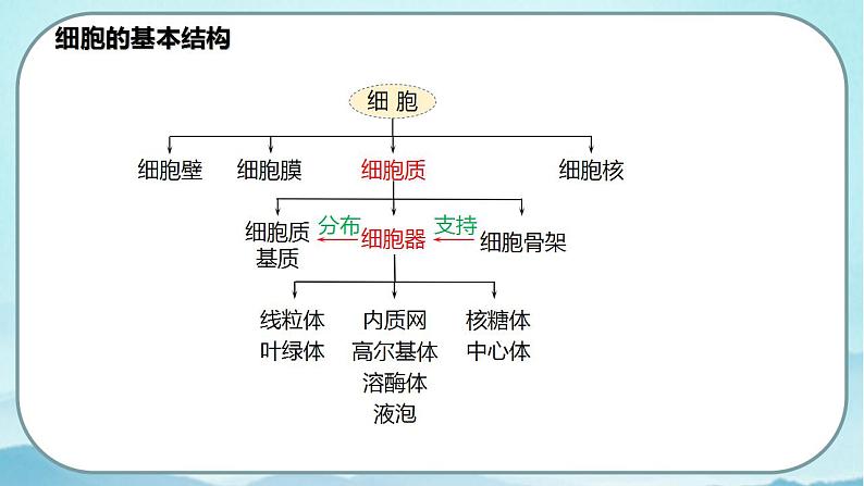 3.2 细胞器之间的分工合作(第1课时)-高中生物 课件+练习(人教版2019 必修一)05
