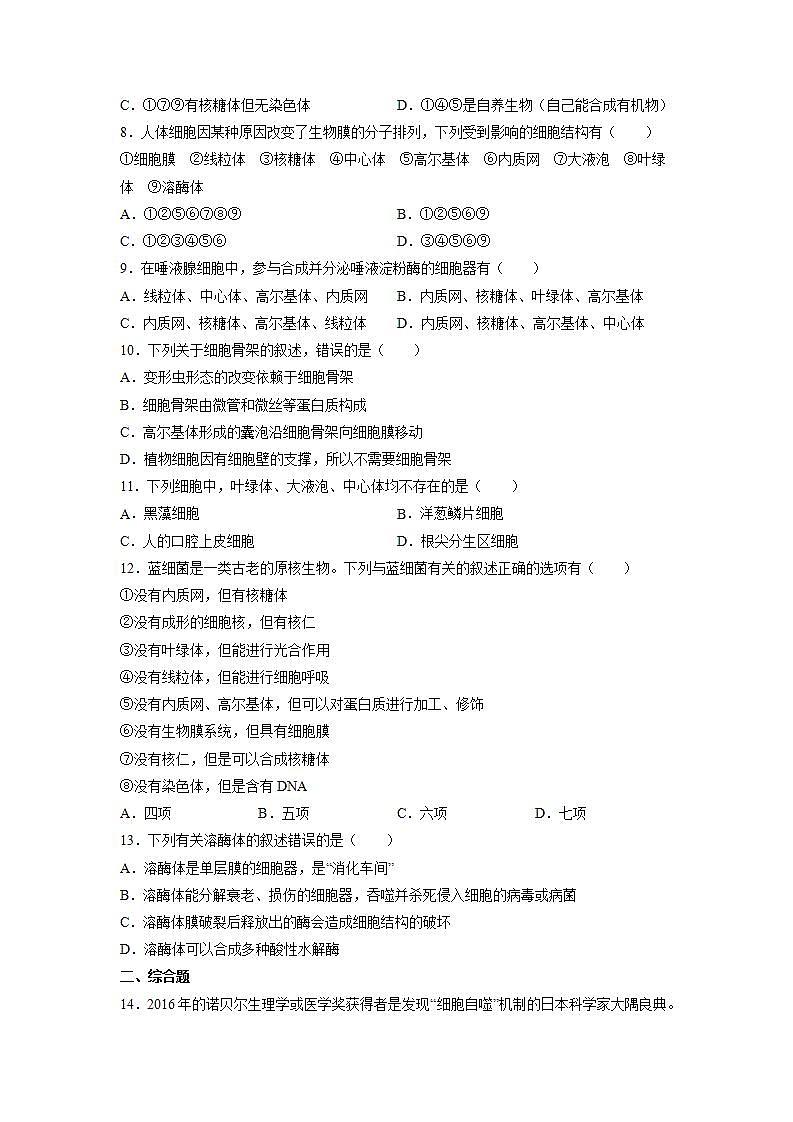 3.2 细胞器之间的分工合作(第1课时)-高中生物 课件+练习(人教版2019 必修一)02