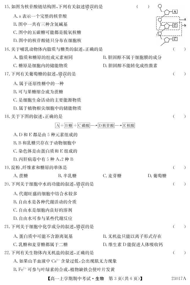 2022-2023深圳6校联盟高一上学期期中（11月）生物试题PDF版含答案03