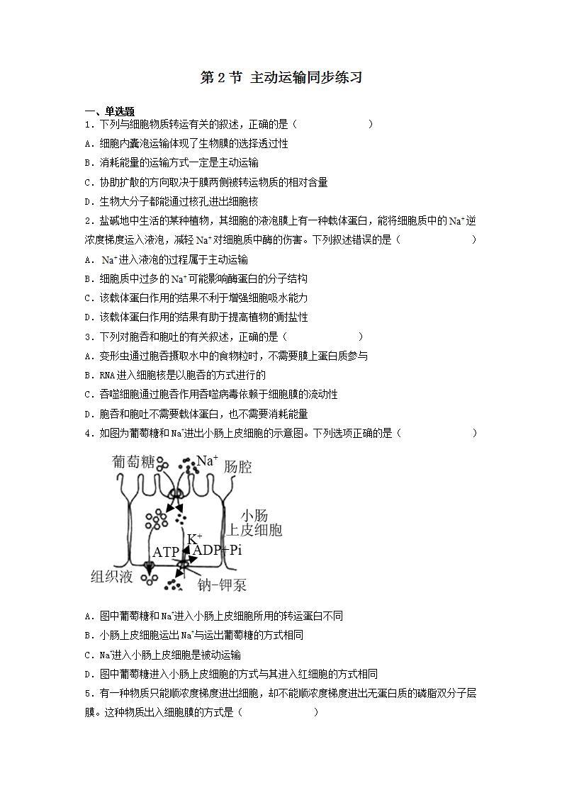 4.2 主动运输与胞吞、胞吐-高中生物 课件+练习（人教版2019 必修一）01