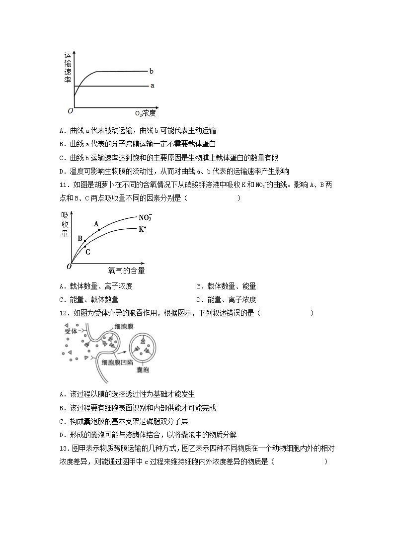 4.2 主动运输与胞吞、胞吐-高中生物 课件+练习（人教版2019 必修一）03