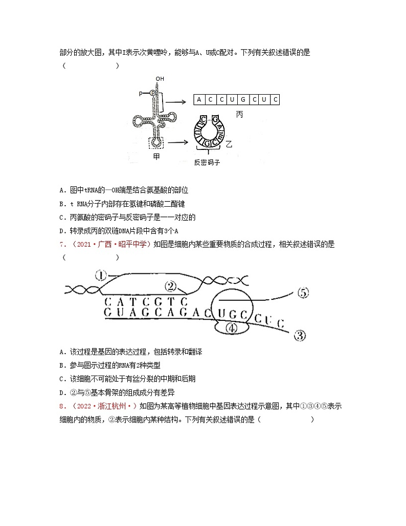 第八单元 基因的表达(原卷版)练习第3页