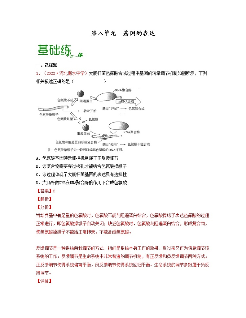 第八单元 基因的表达(解析版) 练习第1页