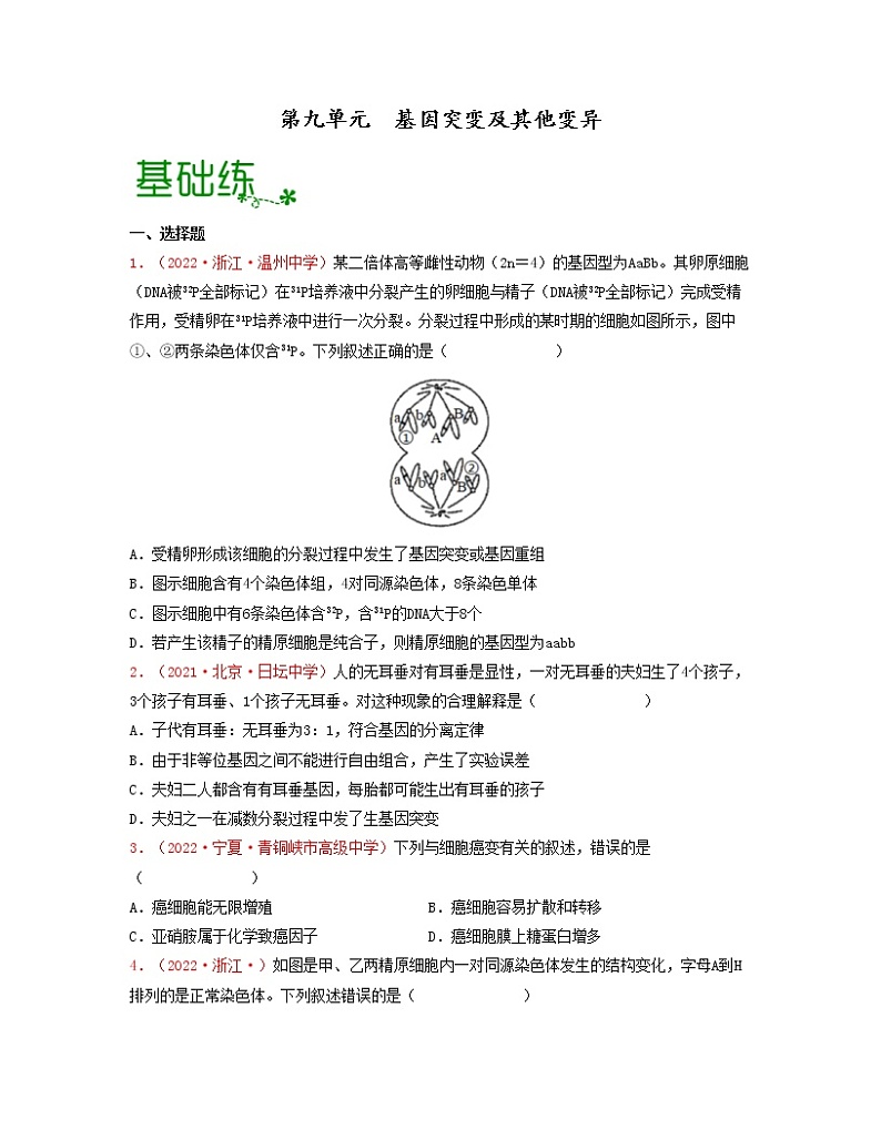 第九单元 基因突变及其他变异(原卷版)练习第1页