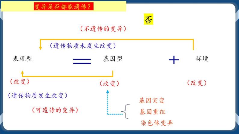 第九单元 基因突变以及其他变异 练习+课件03