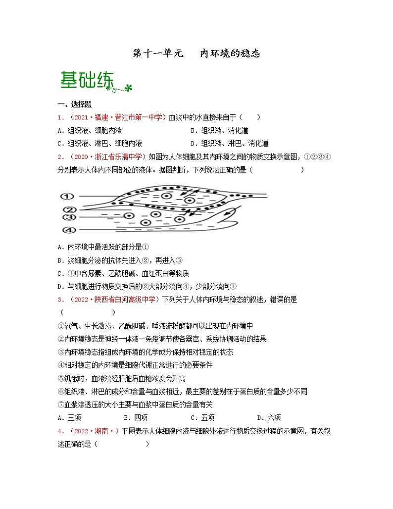 第十一单元 内环境的稳态(原卷版)练习第1页