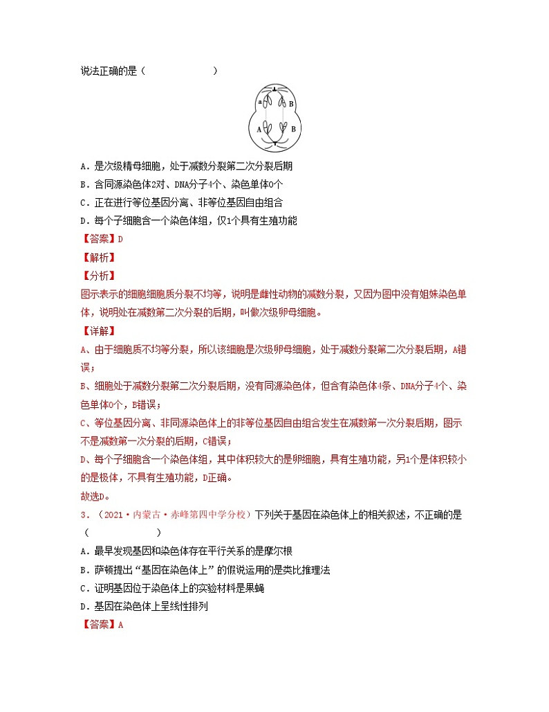 第五单元 基因和染色体的关系(解析版)练习第2页