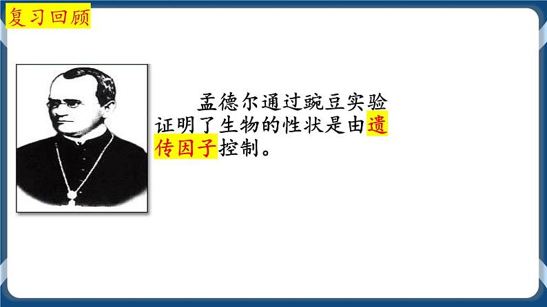 考点01 DNA是主要的遗传物质 课件第2页