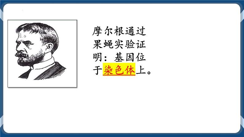 考点01 DNA是主要的遗传物质 课件第3页