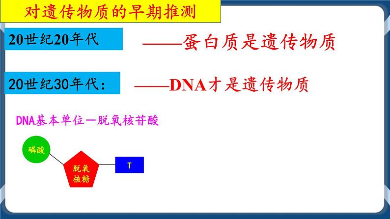 考点01 DNA是主要的遗传物质 课件第6页