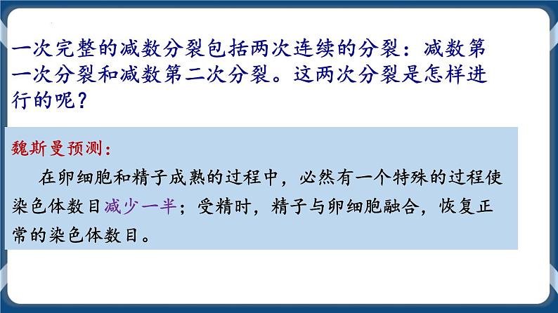 考点01 减数分裂与受精作用 课件第6页
