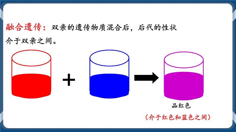 考点01 孟德尔的豌豆杂交实验(一)课件第3页