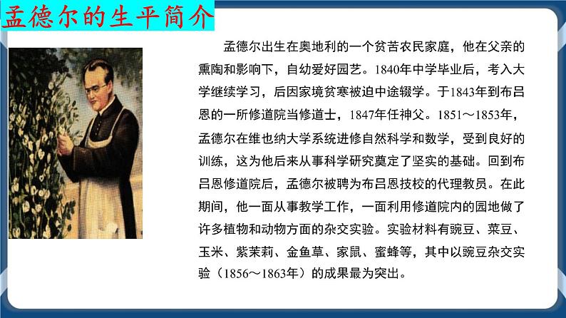 考点01 孟德尔的豌豆杂交实验(一)课件第4页