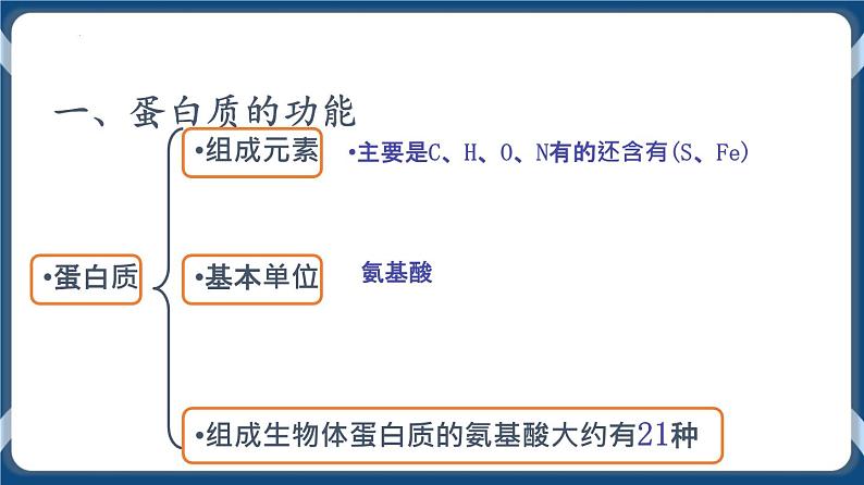 考点03 蛋白质 课件第3页