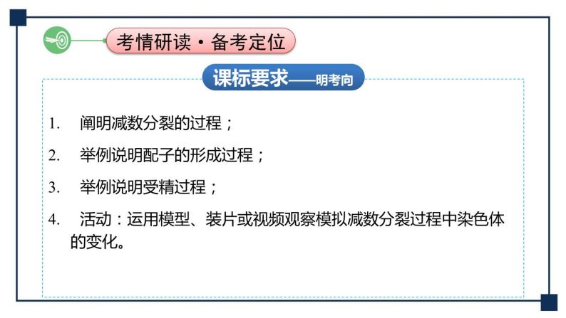 第11讲 减数分裂和受精作用 课件02