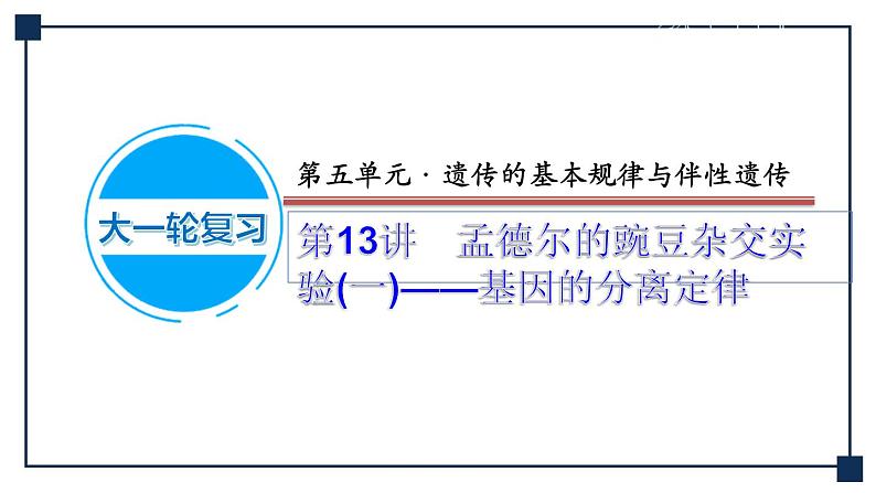第13讲 孟德尔的豌豆杂交实验(一)——基因的分离定律 课件第1页