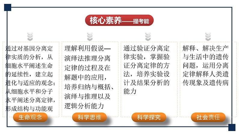 第13讲 孟德尔的豌豆杂交实验(一)——基因的分离定律 课件第3页