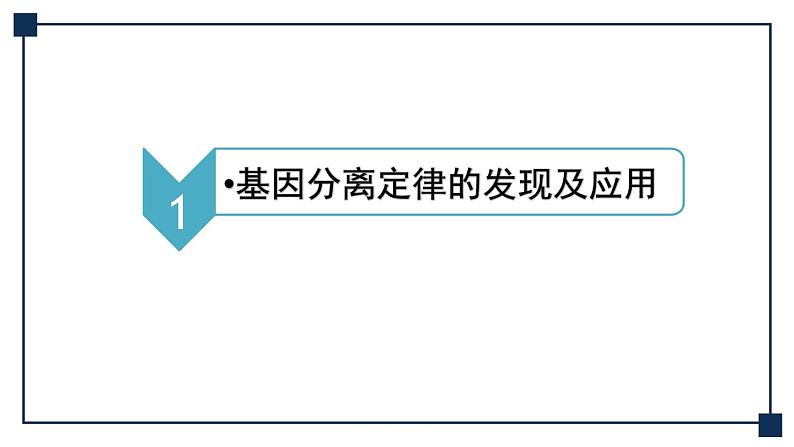 第13讲 孟德尔的豌豆杂交实验(一)——基因的分离定律 课件第6页
