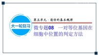 微專題08 一對等位基因在細胞中位置的判定方法 課件