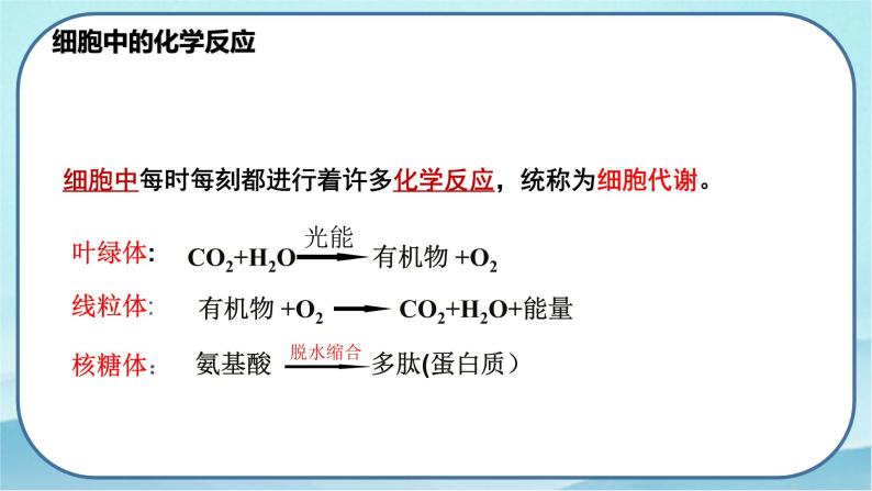 5.1.1 酶的作用和本质-高中生物 课件+练习（人教版2019 必修一）03