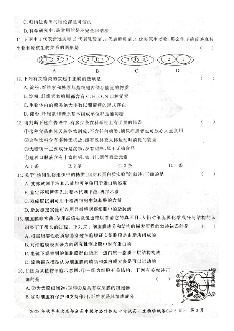 2023湖北省部分高中联考协作体高一上学期期中考试生物试卷扫描版含答案03