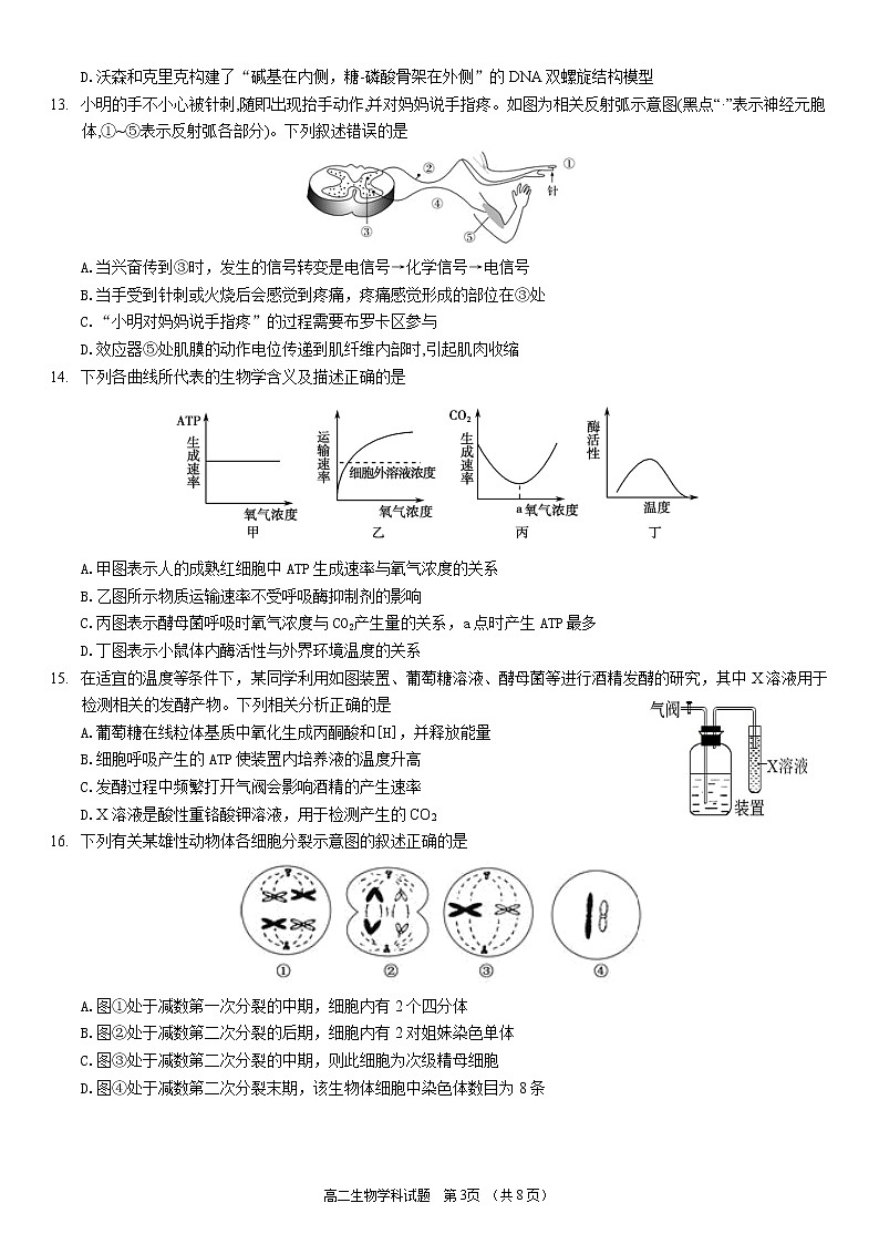 浙江省温州新力量联盟2022-2023学年高二生物上学期期中联考试题(Word版附答案)第3页