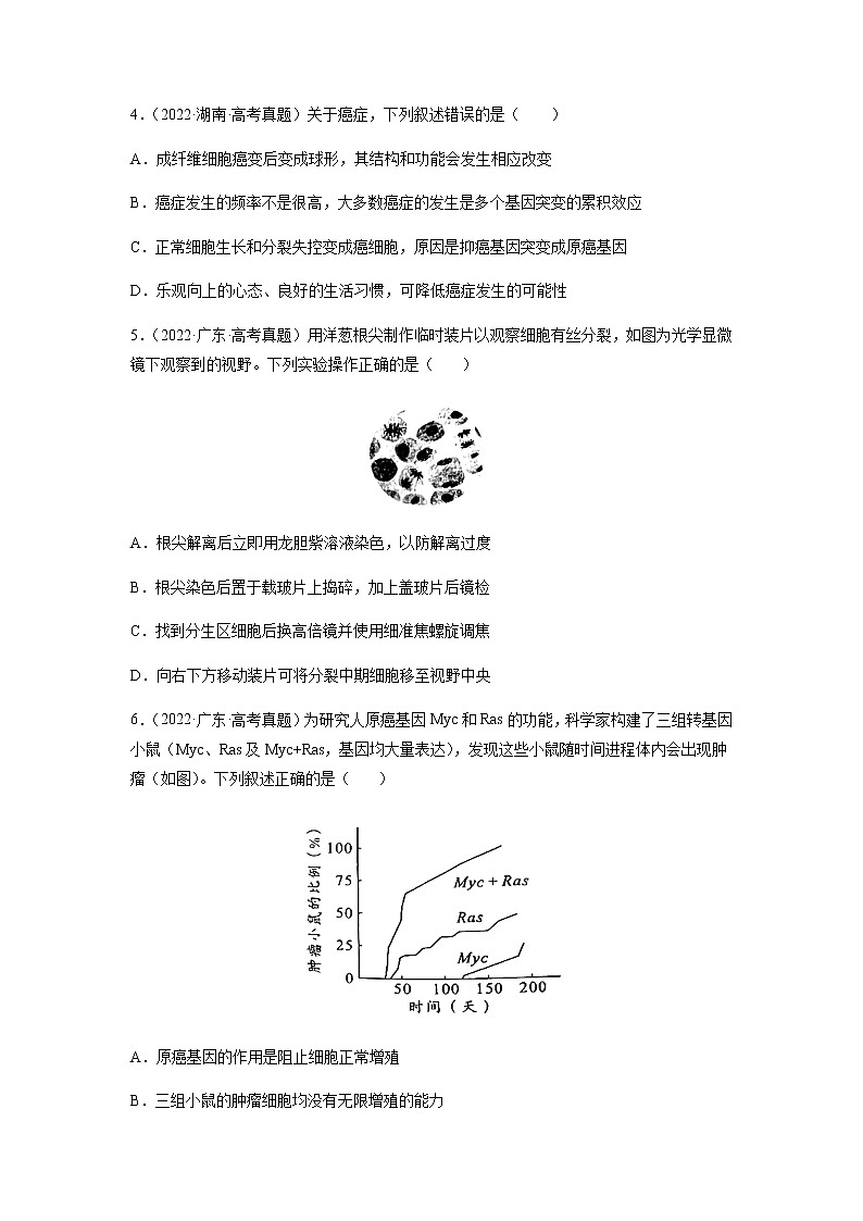 专题04 细胞的生命历程(包括减数分裂)-十年(2013-2022)高考生物真题分项汇编(全国通用)(原卷版)第2页