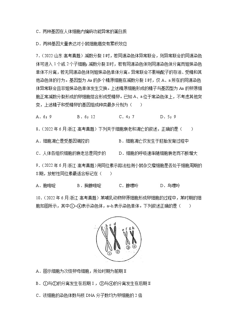 专题04 细胞的生命历程(包括减数分裂)-十年(2013-2022)高考生物真题分项汇编(全国通用)(原卷版)第3页