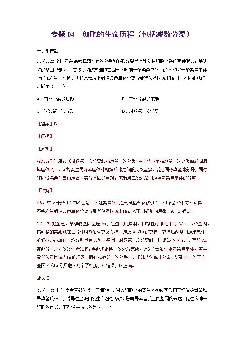 专题04 细胞的生命历程(包括减数分裂)-十年(2013-2022)高考生物真题分项汇编(全国通用)(解析版)第1页