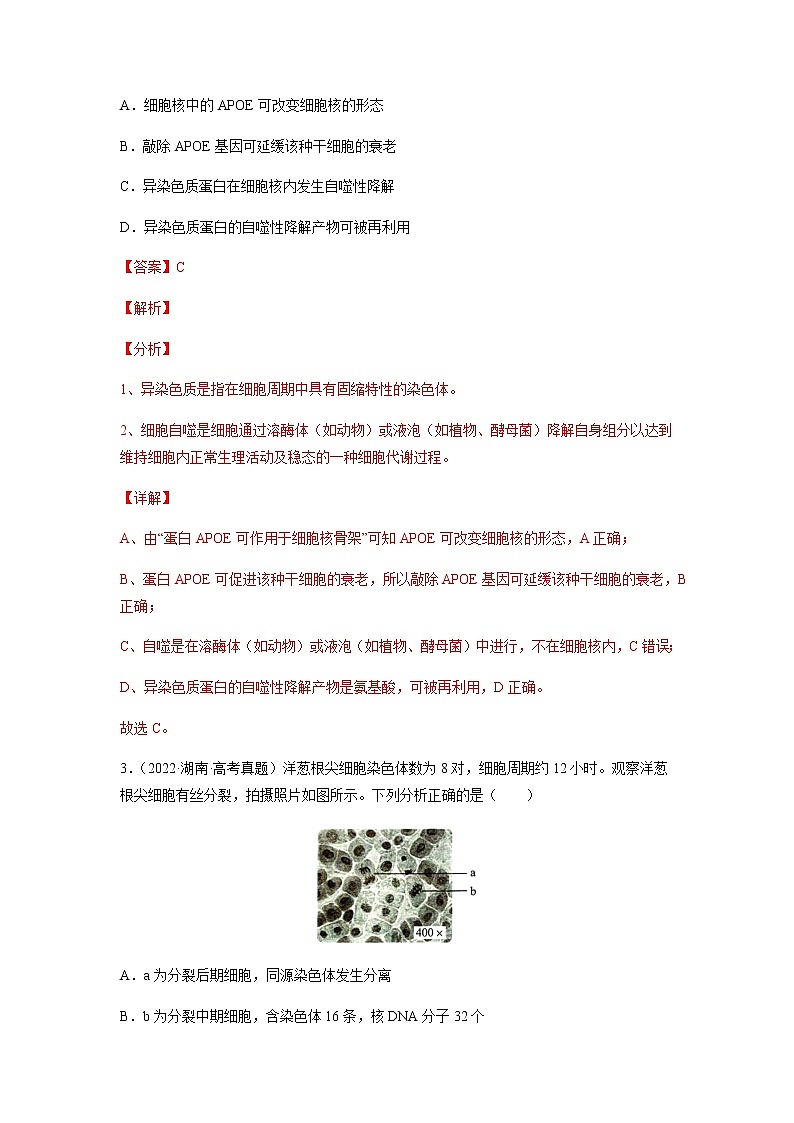 专题04 细胞的生命历程(包括减数分裂)-十年(2013-2022)高考生物真题分项汇编(全国通用)(解析版)第2页