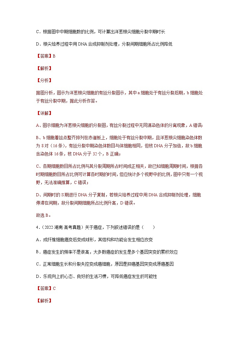专题04 细胞的生命历程(包括减数分裂)-十年(2013-2022)高考生物真题分项汇编(全国通用)(解析版)第3页