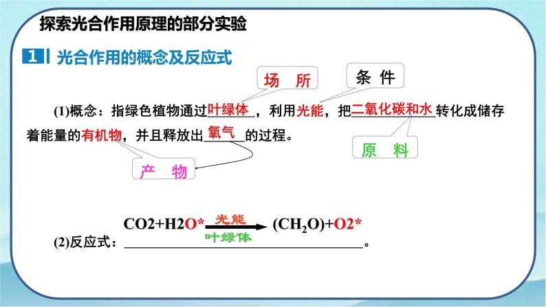 5.4.2 光合作用的原理和应用-高中生物 课件+练习（人教版2019 必修一）04