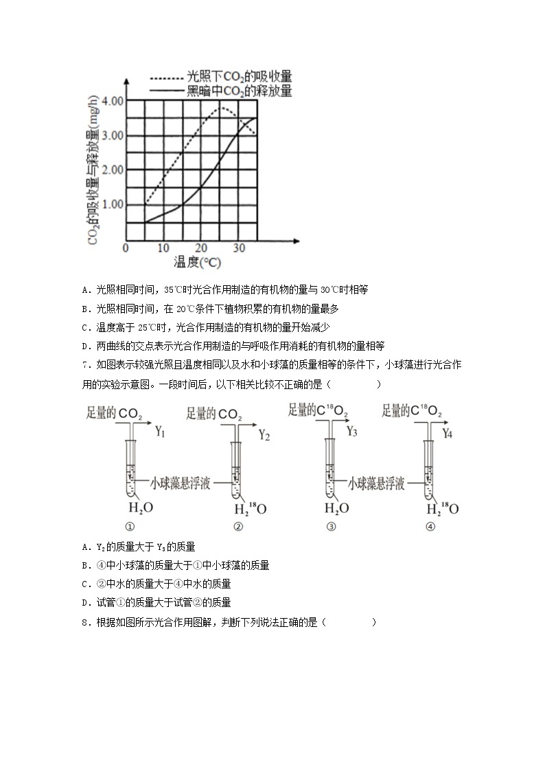 5.4.2 光合作用的原理和应用-高中生物 课件+练习（人教版2019 必修一）03