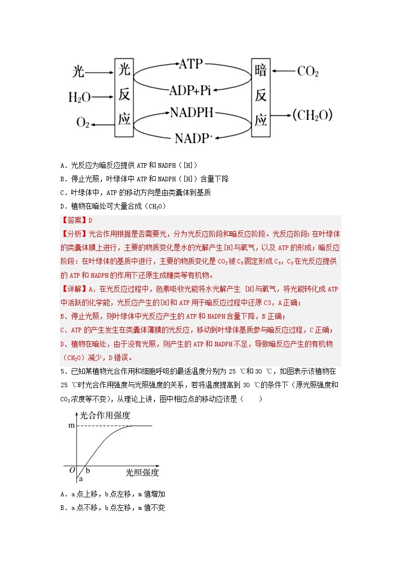 5.4.2 光合作用的原理和应用-高中生物 课件+练习（人教版2019 必修一）03