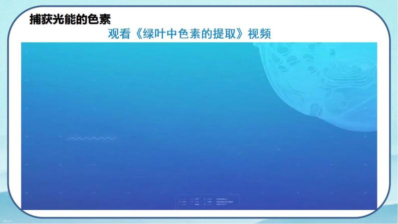 5.4.1 捕获光能的色素和结构-高中生物 课件+练习（人教版2019 必修一）06