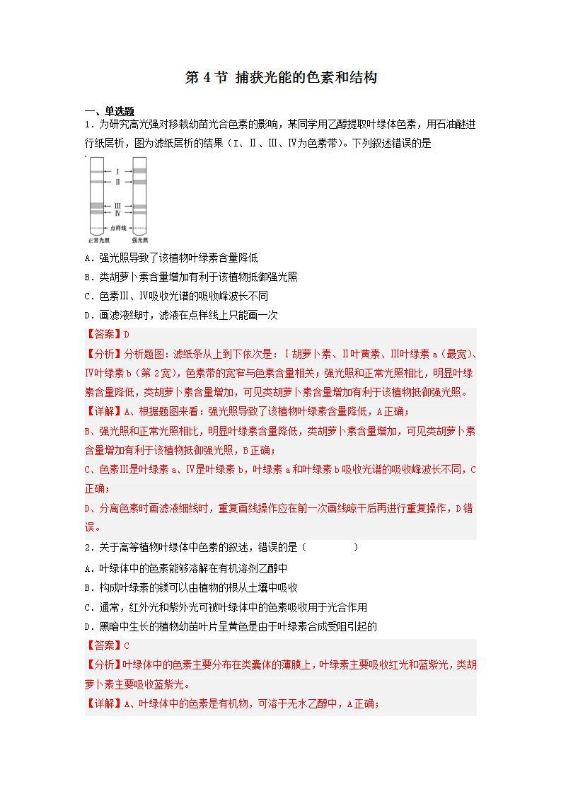 5.4.1 捕获光能的色素和结构-高中生物 课件+练习（人教版2019 必修一）01