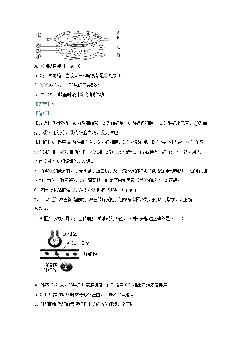 江苏省扬州中学2022-2023学年高二生物上学期10月月考试题（Word版附解析）02