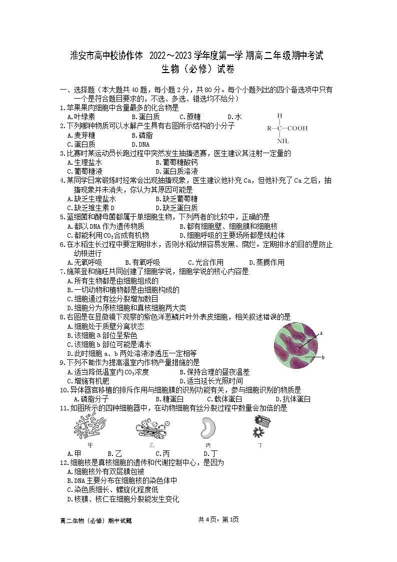 江苏省淮安市高中校协作体2022-2023学年高二生物上学期11月期中试题(Word版附答案)第1页