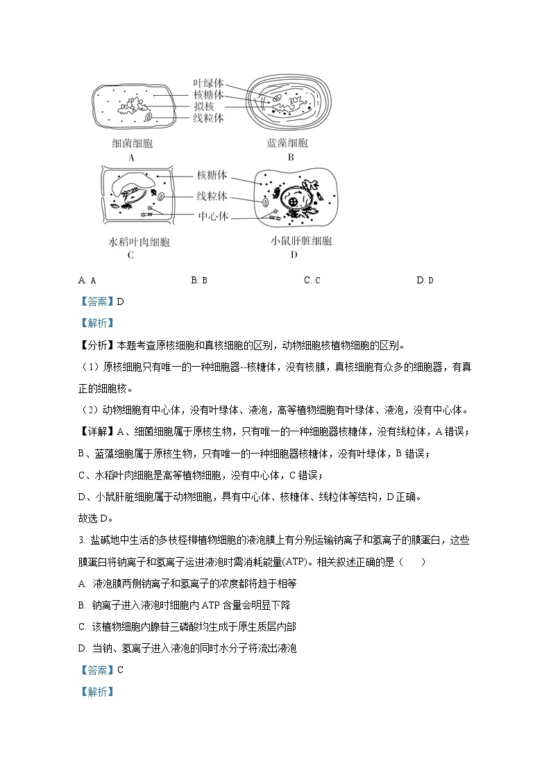 辽宁省大连市滨城高中联盟2022-2023学年高三生物上学期期中试卷（Word版附答案）02