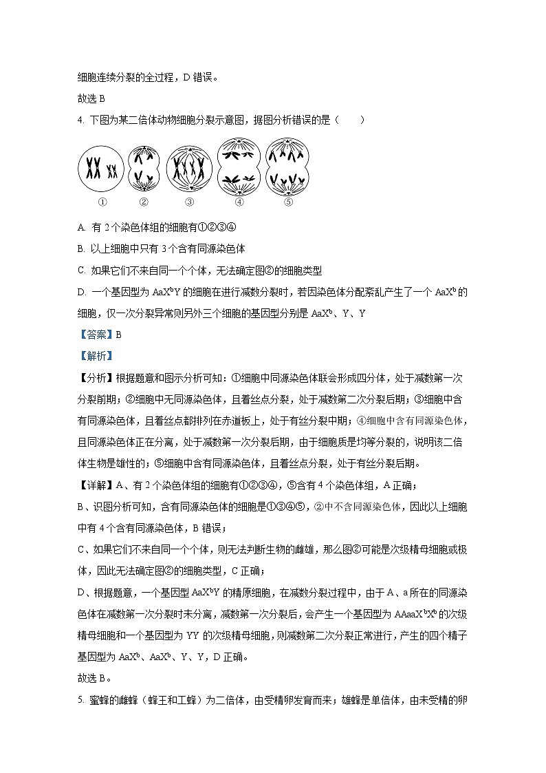 四川省内江市第六中学2022-2023学年高三生物上学期第二次月考试题(Word版附解析)第3页