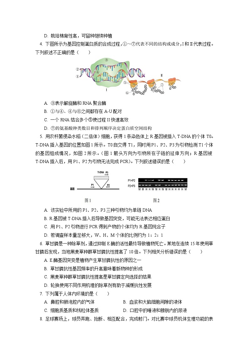 北京一零一中学2022-2023学年高三生物上学期10月月考试卷(Word版附答案)第2页