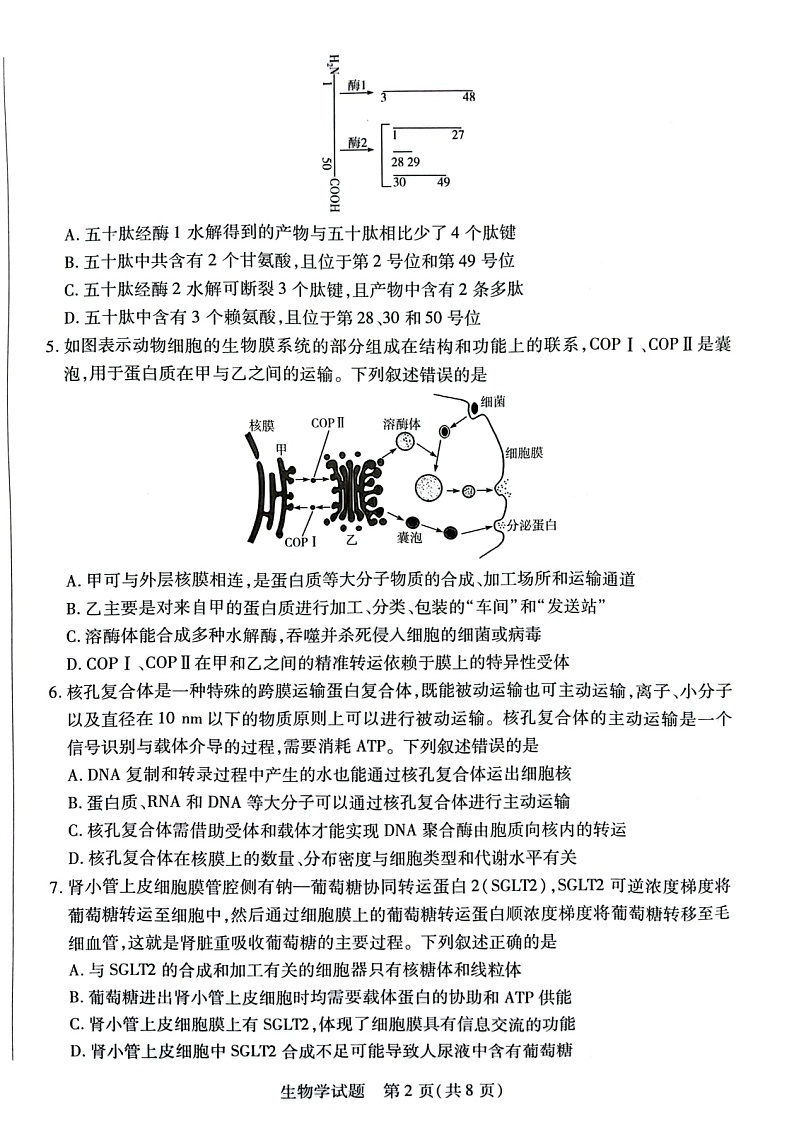 2023安徽省卓越县中联盟高三上学期第一次联考试题生物图片版含解析02