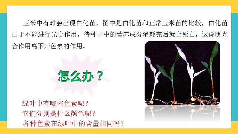 【高考一轮专题复习】高考生物专题复习——第14讲《光合作用与能量转化-1》复习课件(全国通用)第3页