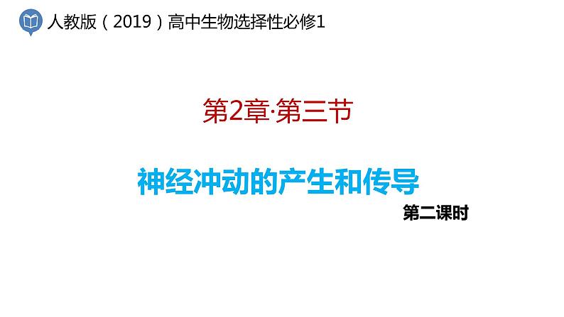 2.3 神经冲动的产生和传导(第2课时)第1页